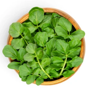 Watercress