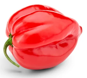 Chilli Habanero local pkt