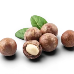 Macadamia Nuts
