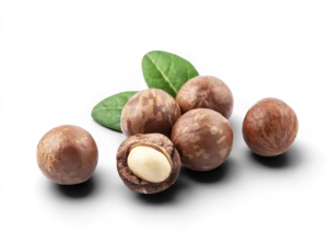 Macadamia Nuts