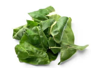 Chard Leaves Bunch