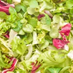 Salad Pkt  Mix