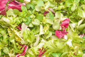 Salad Pkt  Mix