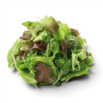 Salad Pkt Misticanza