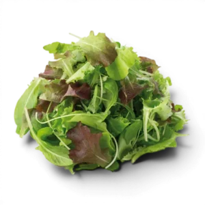 Salad Pkt Misticanza