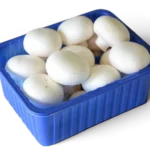Mushroom Pkt