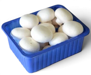 Mushroom Pkt