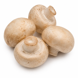Mushroom Button