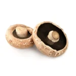 Mushroom Portobello