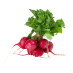 Raddish