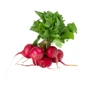 Raddish