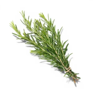 Rosemary Bunch