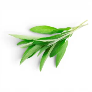 Sage