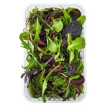 Salad Pkt Baby Songino