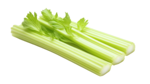 Celery Stick Local