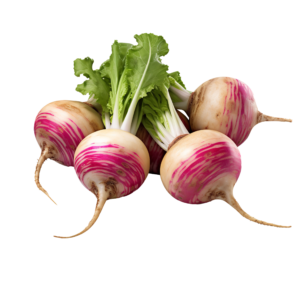 Turnip