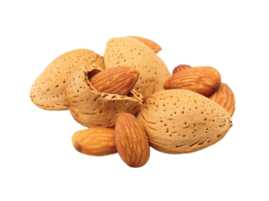 Almonds Raw with Shell