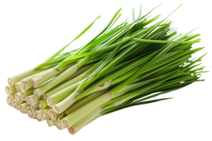 Lemon Grass Each