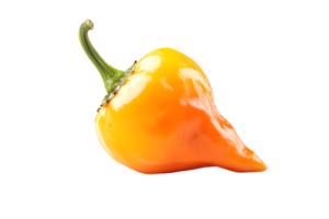 Baby Peppers Local Pkt
