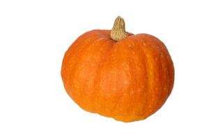 Pumpkin Small Whole (Halloween)