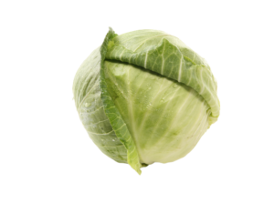 Cabbage White Local