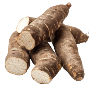 Cassava