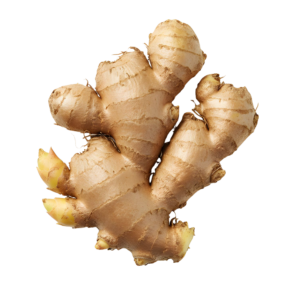 Ginger Spain