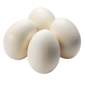 Eggs x 12