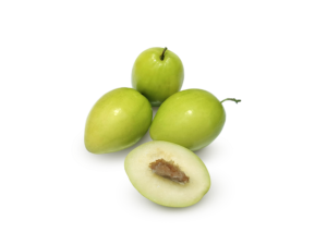 Zinzell ( Jujube )