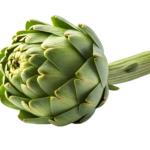 Artichokes Hearts