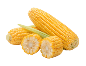 Corn Fresh