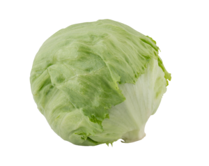 Lettuce Iceberg Foreign