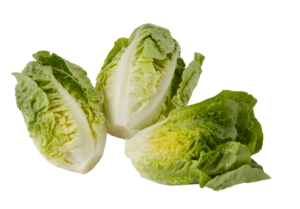 Baby Jam Lettuce Pkt