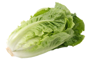 Lettuce Romaine