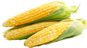 Corn Fresh x 2 Foreign