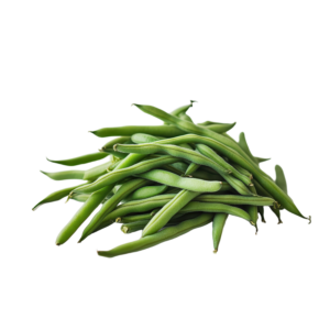 French Beans (Fazola Twila)