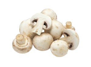 Mushroom White