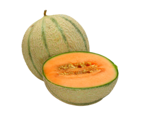 Melon Orange Foreign