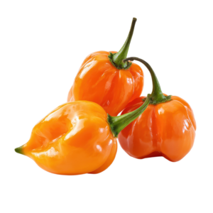 Chilli Habanero