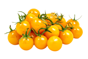 Cherry Tomatoes Round Yellow Pots