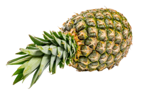 Pineapple Extra Sweet XL
