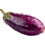 Aubergine Long Foreign