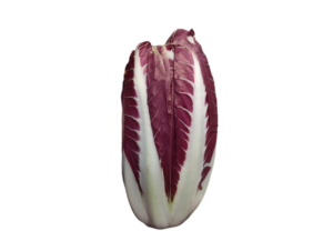 Radicchio