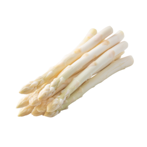 Asparagus Jumbo White