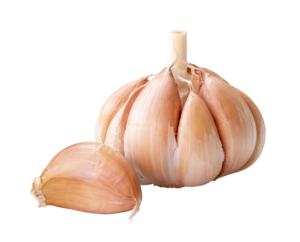 Garlic Fresh Local