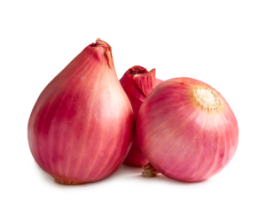Onions Red Local