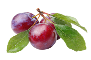 Cherry Plum Local