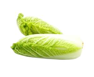 Cabbage Pointed