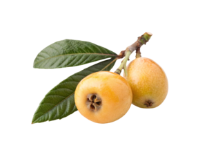 Naspli (Loquat) Foreign