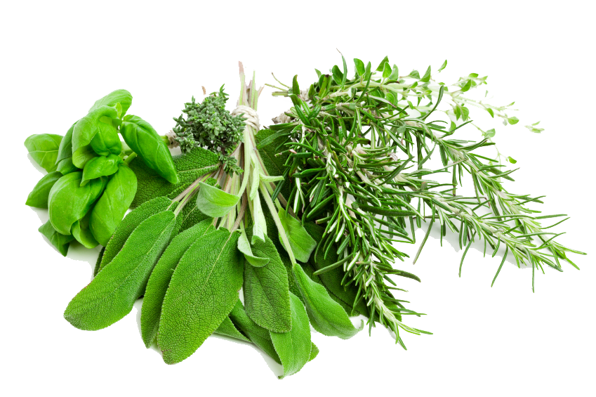 Fresh Herbs
